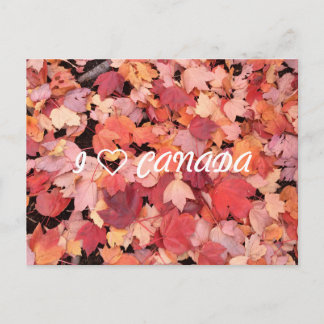I ❤カナダ ポストカード