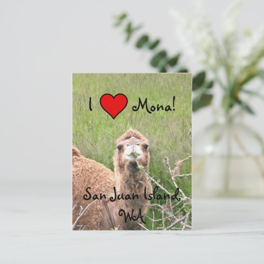 I ♥モナ! ポストカード (スタンド正面)