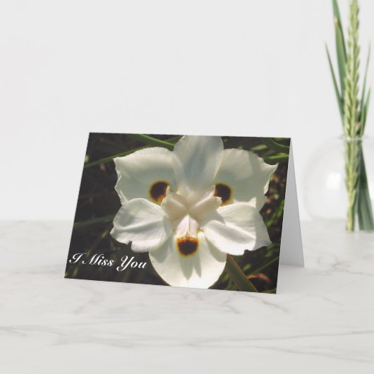 I 恋しく思/Any大事な行事_カード カード (正面)