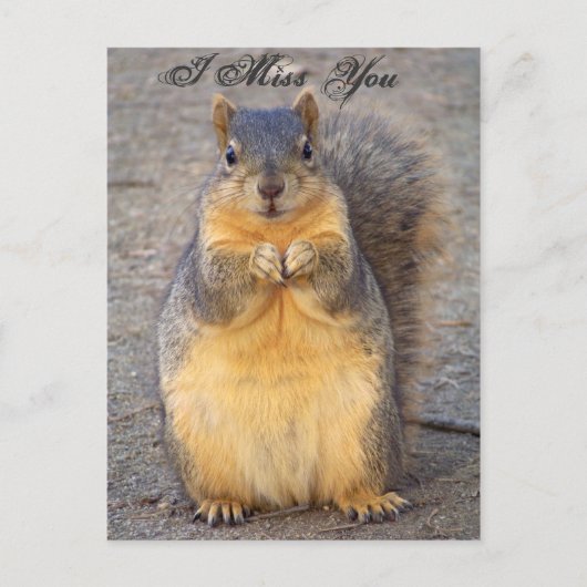 I 恋しく思 You_ポストカード_by Elenne Boothe ポストカード (正面)