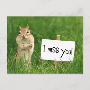 I 恋しく思 You Chipmunk with Sign ポストカード