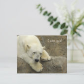 I 恋しく思 You - Polar Bearポストカード ポストカード (スタンド正面)