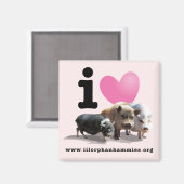 I <3ピッグズ磁石 マグネット (正面/裏面)