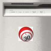 I 30ビンゴボール磁石 マグネット (インサイチュ (食洗機))