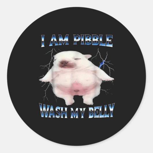 I Am Bble Wash My Belly Bble Meme Funny Dog Brainr ラウンドシール (正面)
