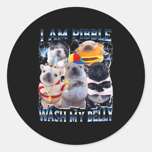 I Am Bble Wash My Belly Bble Meme Funny Dog Brainr ラウンドシール (正面)