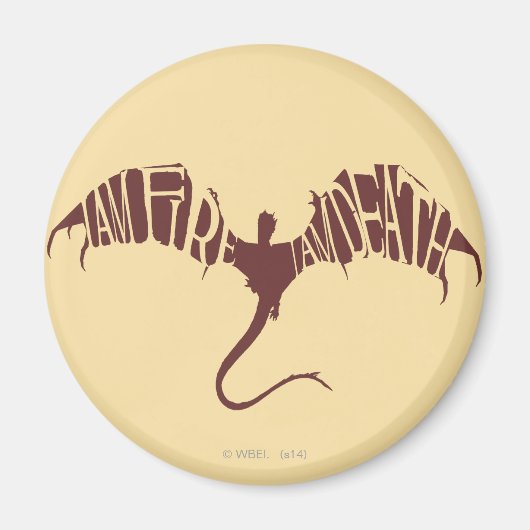 I Am Fire I Am Death – グラフィック マグネット (正面)