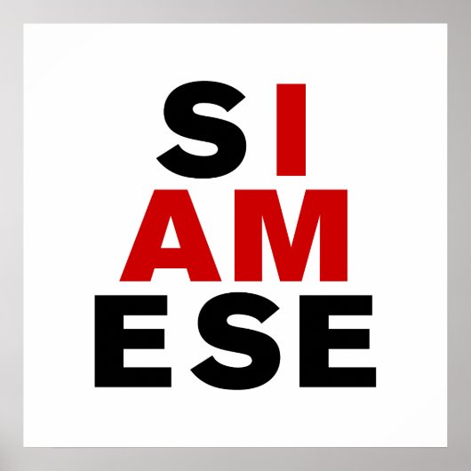 I AM SIAMESE ポスター (正面)