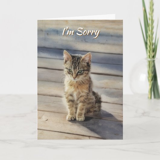 I Am Sorry Cute Kitten Cat Card カード (正面)