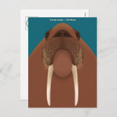I am the Walrus Postcards シーズンポストカード (正面/裏面)