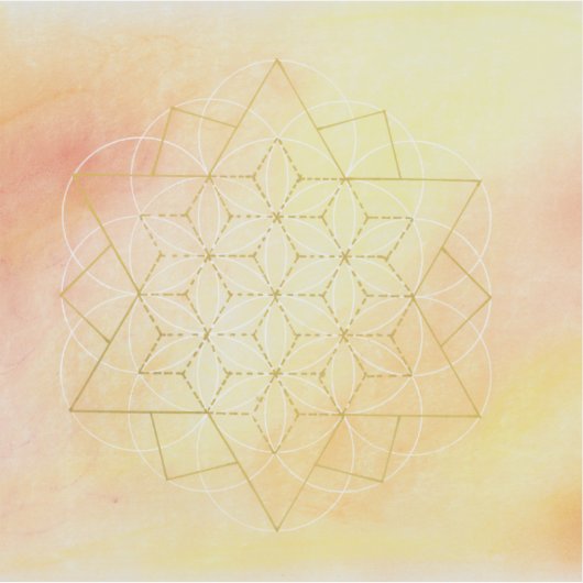 I AM WHOLE Vinyl transparant sticker シール (正面)