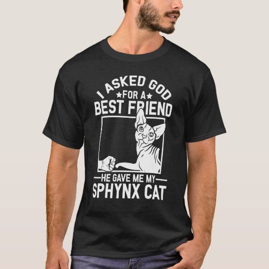 I Asked God For A Best Friend  Sphynx Cat Mom Tシャツ (正面)