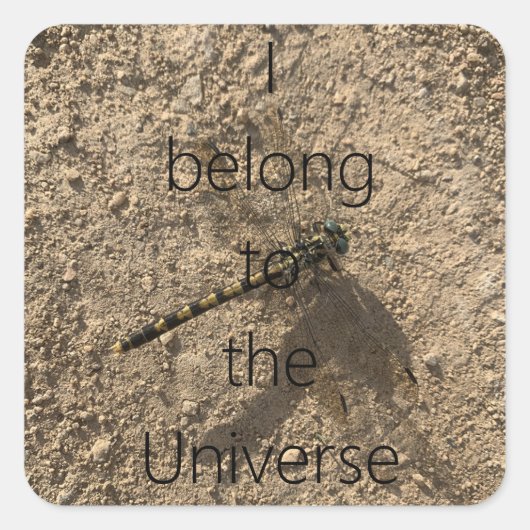 I belong to the Universe - Sticker スクエアシール (正面)