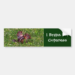 I BrakeのCueness Chipmunksバンパーステッカー バンパーステッカー