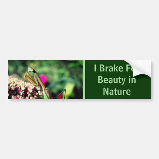 I Brake For Beauty Praying Mantis Nature バンパーステッカー (正面)