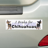 I Brake for Chihuas バンパーステッカー (車上)