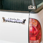 I Brake for Chihuas バンパーステッカー (トラック上)