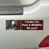 「I BRAKE FOR PETS」キャットキットバンパーステッカー バンパーステッカー (車上)