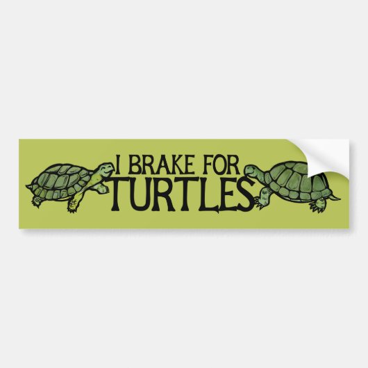I Brake for Turtles バンパーステッカー (正面)
