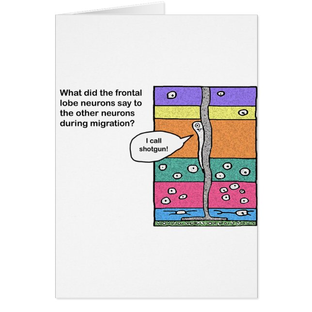 i_call_shotgun (正面)