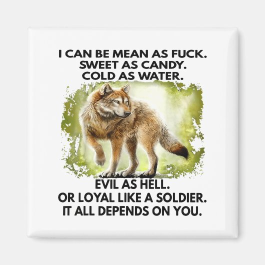 I Can Be Mean As For Sweet As Candy Cold As Water マグネット (正面)