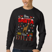 I Can Explain Christmas Lights Leopard Plaid Santa スウェットシャツ (正面)