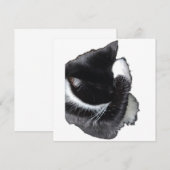 I Can't Even Right Meow (正面/裏面)