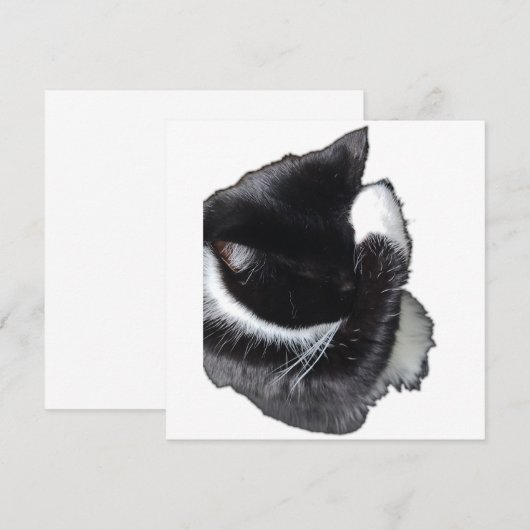 I Can't Even Right Meow (正面/裏面)