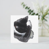 I Can't Even Right Meow (スタンド正面)