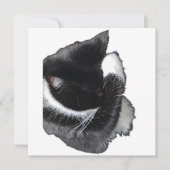 I Can't Even Right Meow (正面)