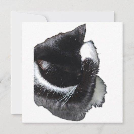 I Can't Even Right Meow (正面)