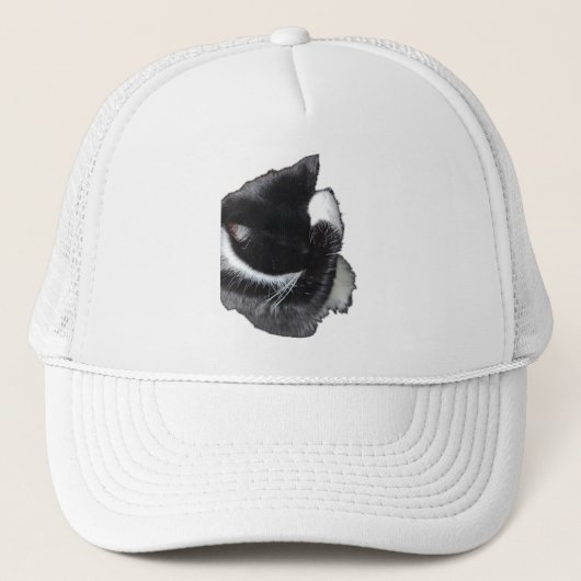 I Can't Even Right Meow キャップ (正面)