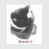 I Can't Even Right Meow シール (シート)