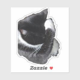 I Can't Even Right Meow シール