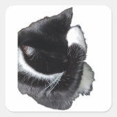 I Can't Even Right Meow スクエアシール (正面)