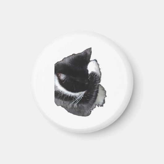 I Can't Even Right Meow マグネット (正面)