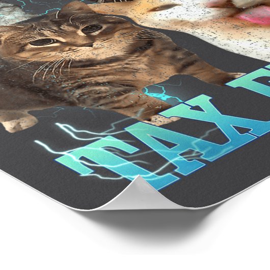 I Commit Tax Fraud Funny Cat Meme Bootleg Graphic  ポスター (角)
