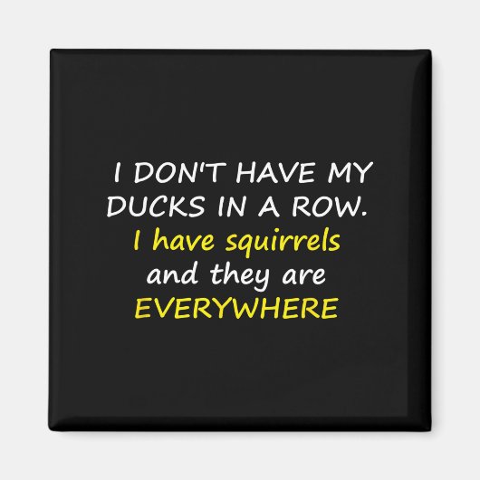 I Don't Have My Ducks In A Row.  マグネット (正面)