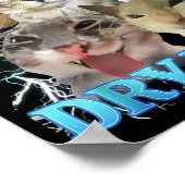 I Eat Dry Wall Funny Cat Meme  ポスター (角)