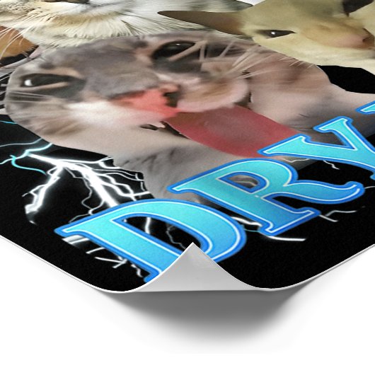 I Eat Dry Wall Funny Cat Meme  ポスター (角)