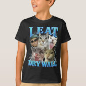 I Eat Dry Wall Funny Cat Meme Tシャツ (正面)