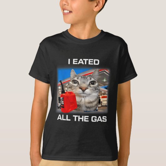 I Eated All The Gas Funny Silly Staring Cat Meme G Tシャツ (正面)