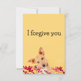 i forgive you flower dog 招待状