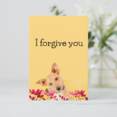 i forgive you flower dog 招待状 (スタンド正面)