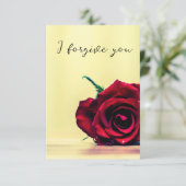 i forgive you sky horse 招待状 (スタンド正面)