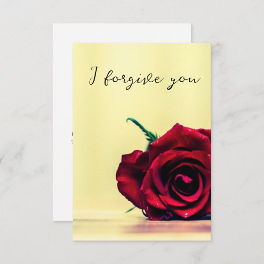 i forgive you sky horse 招待状 (正面/裏面)