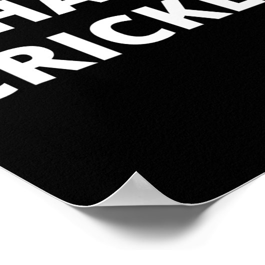 I Hate Cricket  ポスター (角)