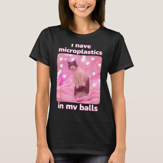 I Have Microplastics In My Pink Cat Meme Dank Meme Tシャツ (正面)