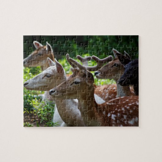 I Hearパズル ジグソーパズル (横)