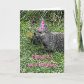 I heard it's your birthday, groundhog cards カード (正面)